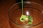 Chilled English Pea Soup - lamb jus, mint, buttermilk crumble, petit lettuce, pine nuts, chili thread