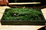matsutake chawanmushi, pine