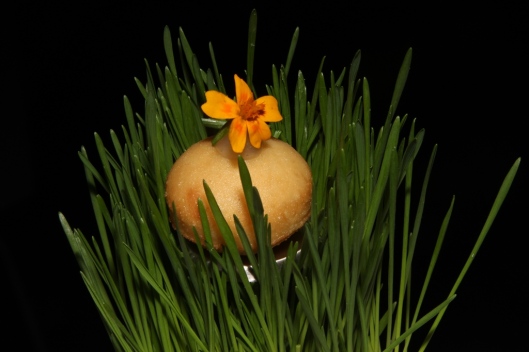 Amuse-Bouche - beignet, white truffle mousse, edible marigold flower, wheatgrass
